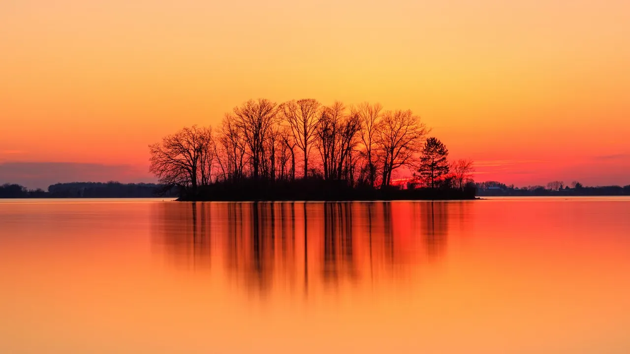 Siluetas de árboles junto a un lago al atardecer